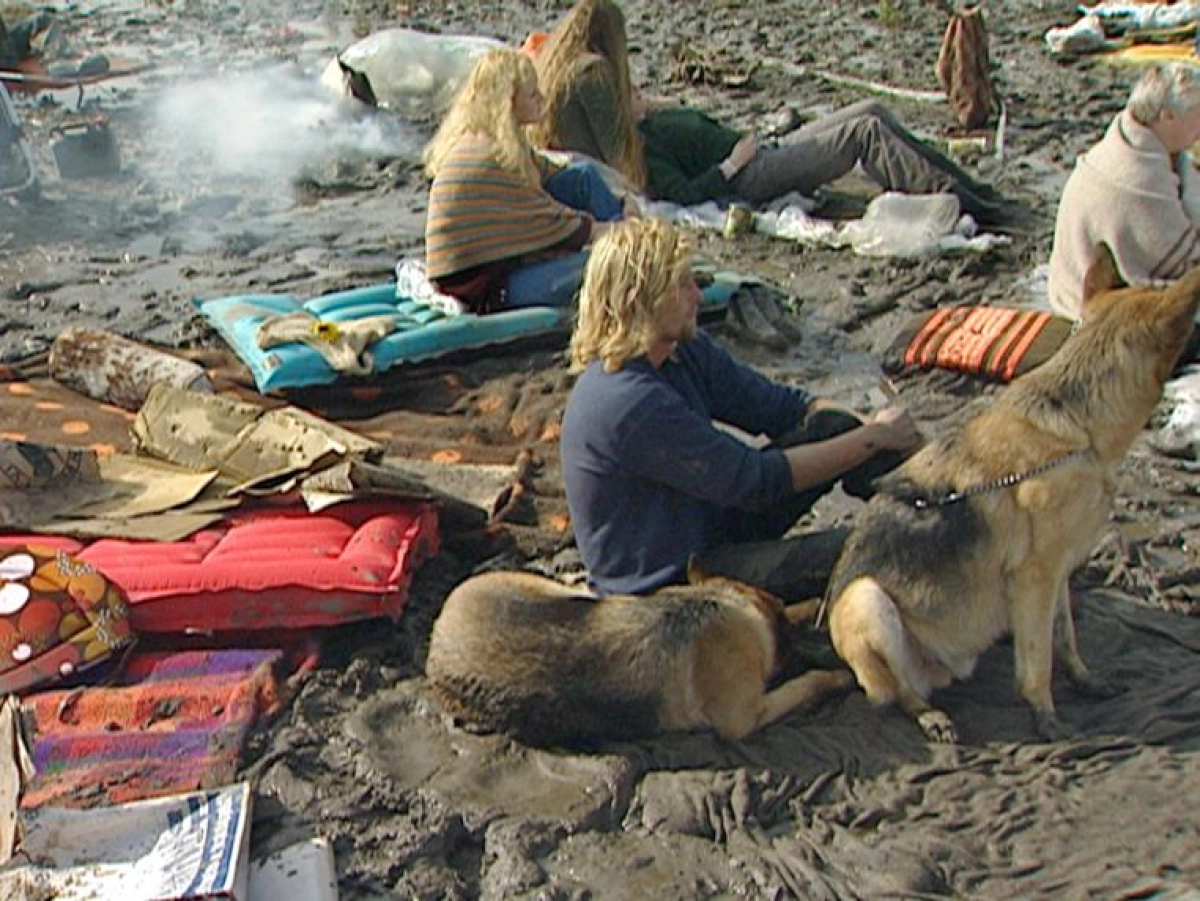 ESNS Art: Lumber van Aernout Mik